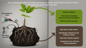 10.57647-j.ijrowa.2024.1302.16