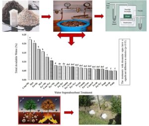 10.57647-j.ijrowa.2024.1302.18