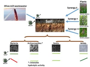 10.57647-j.ijrowa.2024.1302.21
