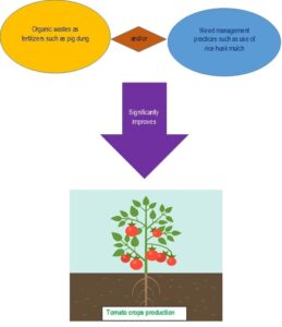 IJROWA-2305-1651 (R3)-2-12 (1)