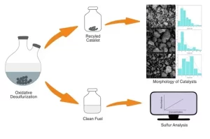 Catalytic oxidative desulfurization of dibenzothiophene by heterogeneous M2