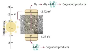 Highly Porous Bi(III) Modified Rice Husk Silica Photocatalyst for the Photocatalytic Removal of Cationic Methylene Blue