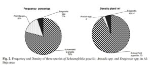 Impacts of the Intensive Use of Rangeland on the Vegetation Attributes and Soil Seed Bank of Al-Baja Area, White Nile- Sudan